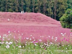 -嘉北郊野公园