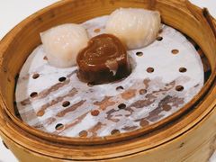 金牌虾饺皇-赏点粤式点心(广州塔店)