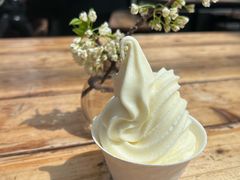 -北马山庄植趣咖啡