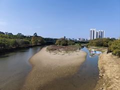 -广东花都湖国家湿地公园