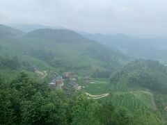 -紫鹊界梯田景区