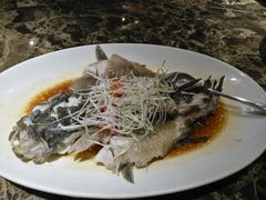 -老洋房花园饭店(绍兴路店)