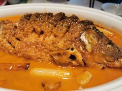 -阿五黄河大鲤鱼(纬三路店)