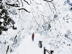 -峨眉山风景名胜区