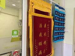-艾吉宠物医院·疑难杂症转诊中心·猫友好(碧江路院)