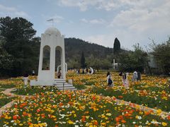 -名花谷生态庄园