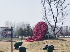 -日照海滨国家森林公园