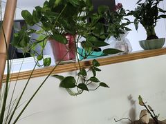 -咖啡人·融合餐厅(万达环宇店)