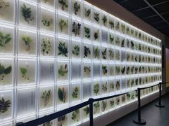 -广东中医药博物馆