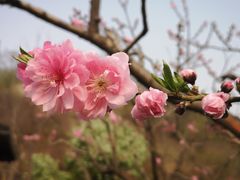 -北京水岸山吧度假村(雁栖镇店)