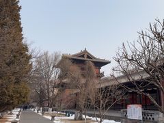 -善化寺