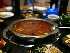 -新乡杨记红焖羊肉火锅(天坛南门店)
