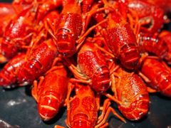 -一棠龙虾(日月光中心广场店)