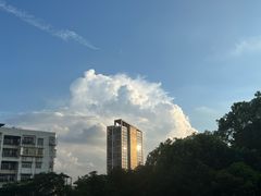 -同德公园