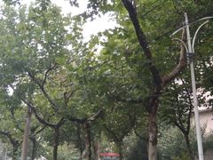 -西北大学(桃园校区)