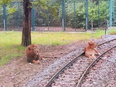 -秦皇岛野生动物园