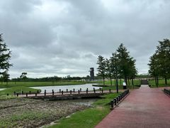 -春花秋色城市公园