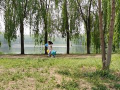 -东坝千亩湖公园