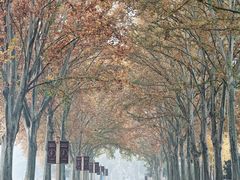 -河南省黄河迎宾馆