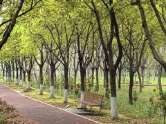 -上海浦江郊野公园-5号停车场