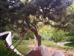 -元大都城垣遗址公园