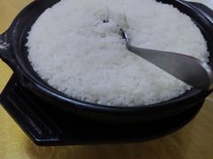 -煲来饱去冷水鱼