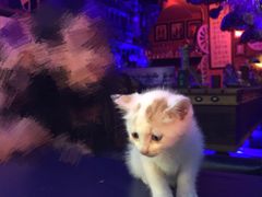 -星宿秘码(鼓浪屿老店)