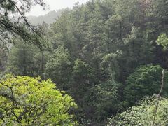 -木兰云雾山