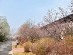 -中建雁栖湖景酒店-餐厅