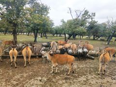 -西安秦岭野生动物园