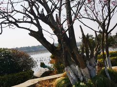 -上海海湾国家森林公园