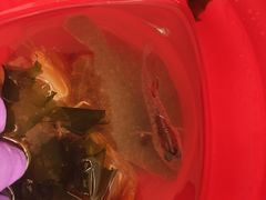 -日照世帆赛基地