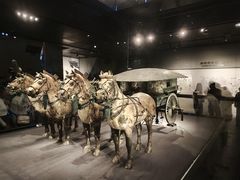 -秦始皇帝陵博物院-丽山园
