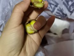 -粒上皇(崇文门店)