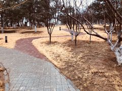 -燕郊植物园