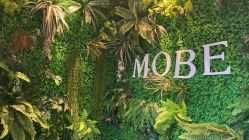 点击看大图 -木北护肤造型