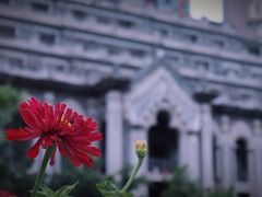 -古德寺