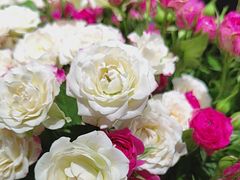 -何兮花店·气球派对鲜花店(马桥银春路万科城店)