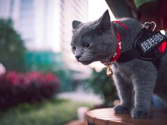 -星巴克(珠海仁恒滨海中心店)
