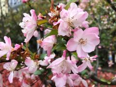 -苏州河梦清园环保主题公园