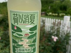-嘉北郊野公园