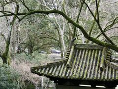 -杭州花家山庄