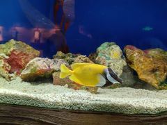 -上海海洋水族馆