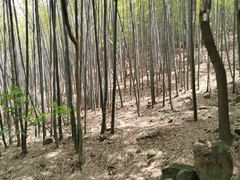 -穹窿山景区