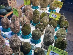 -油麻地果栏