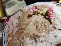 -九鼎轩脆毛肚火锅(三钢里店)