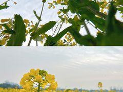 -蜀绣公园