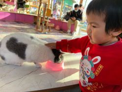 -萌宠亲子动物乐园(槐房万达店)