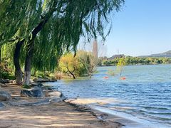 -济南国际园博园