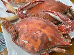 -戴河香地方名吃海鲜大馅蒸饺(黄金海岸一店)